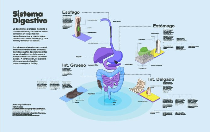 bita25cc2581cora1-10