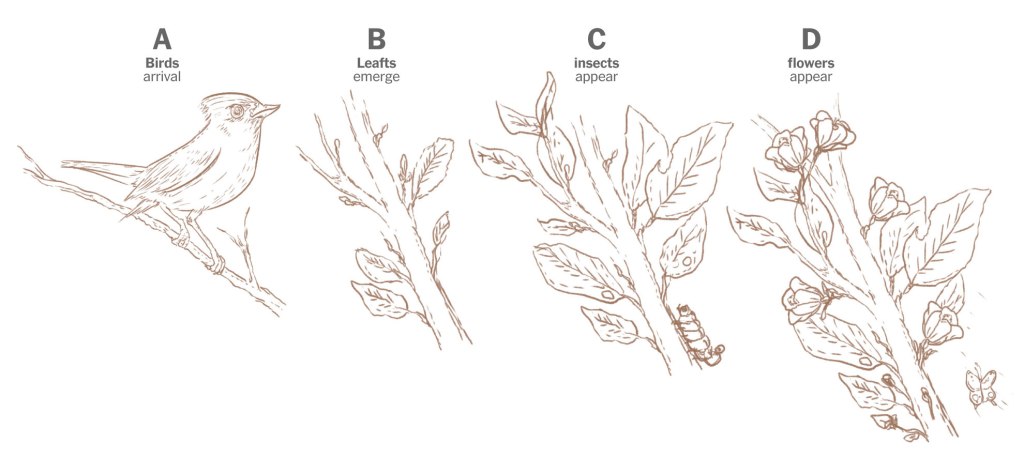 Illustration of the Spring flow in 1850.